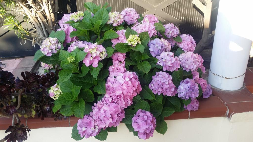 B&B Baia Dello Stretto Gallico Marina エクステリア 写真